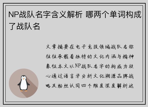 NP战队名字含义解析 哪两个单词构成了战队名